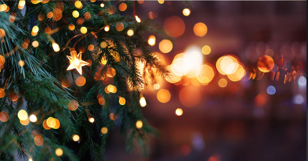 Have a Safe Merry Christmas!
