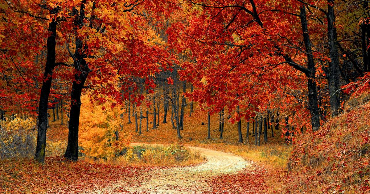 Get Your Home Ready For Fall