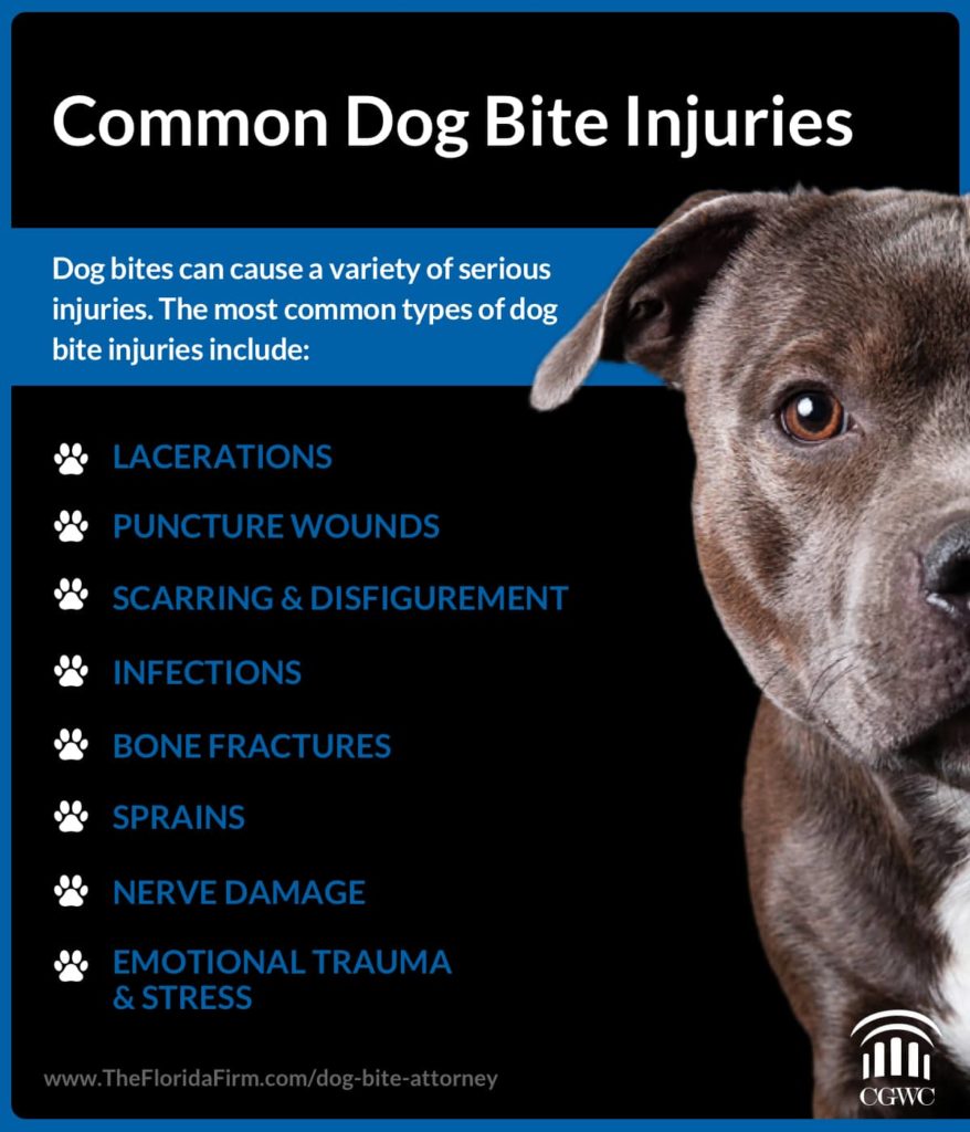 Common Dog Injury Types | Colling Gilbert Wright and Carter