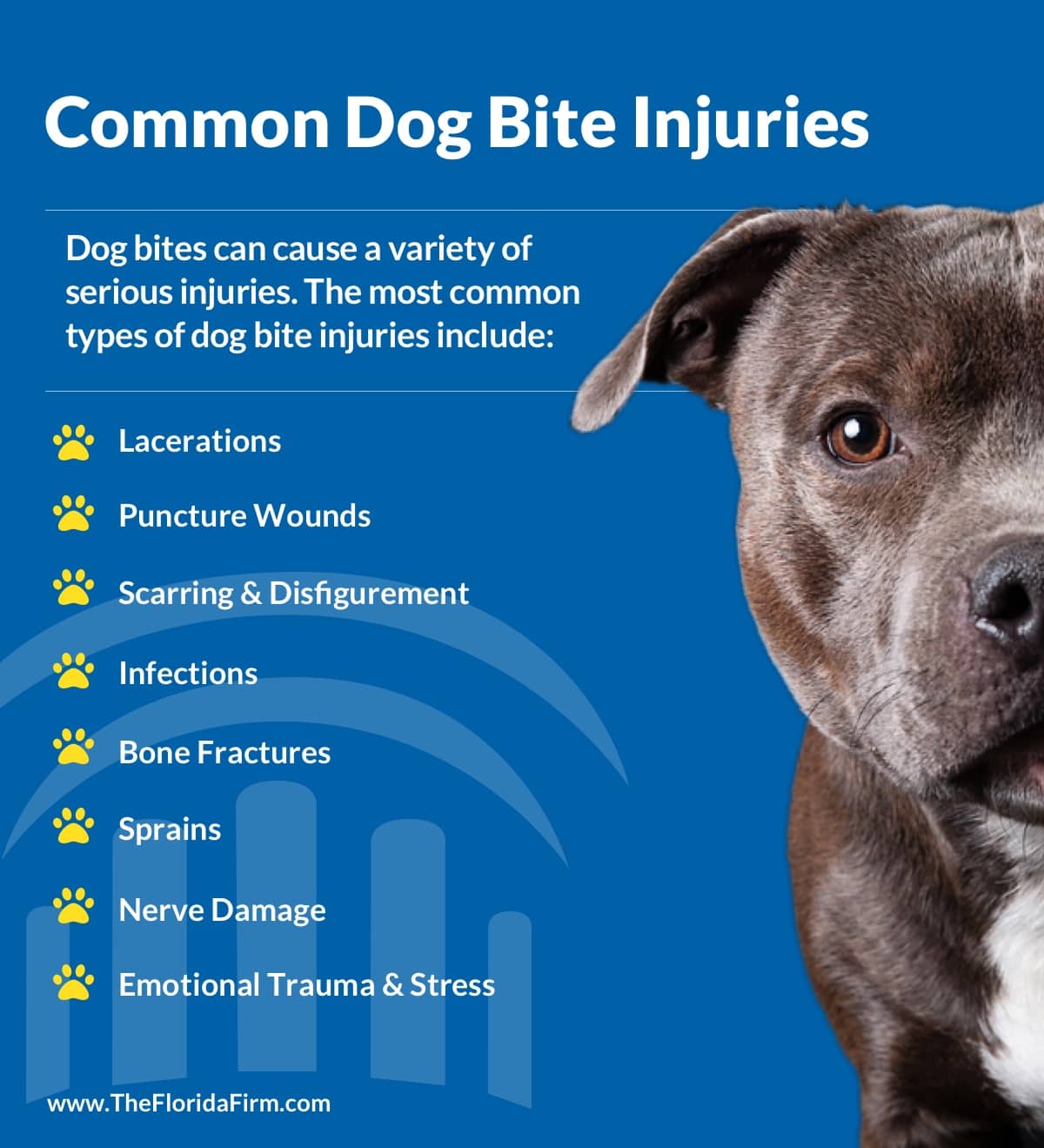 How Do You Treat Dog Bite Wounds
